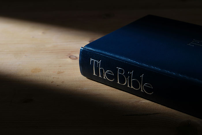 41 College Admissions Lies That Were So Dumb They Made Officers Stop In Their Tracks