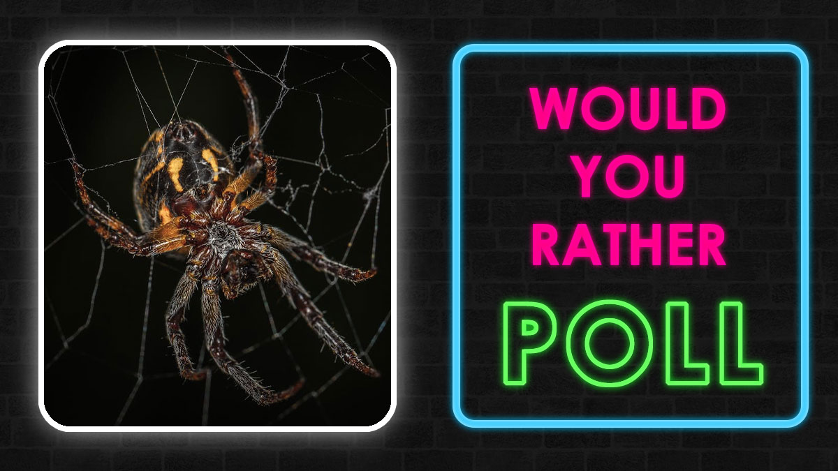 Close-up of a spider in its web next to neon sign reading would you rather poll featuring toddlers and alligator theme