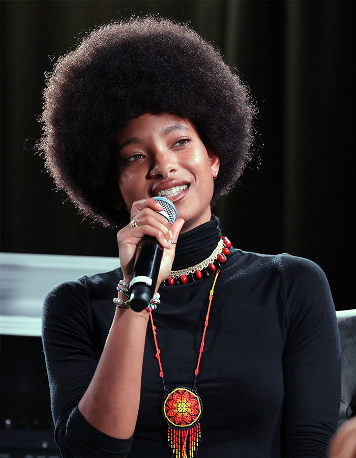 Fans Heartbroken After Will Smith Reveals Why Willow Shaved Her Head Mid-Tour Fans Heartbroken After Will Smith Reveals Why Willow Shaved Her Head Mid-Tour