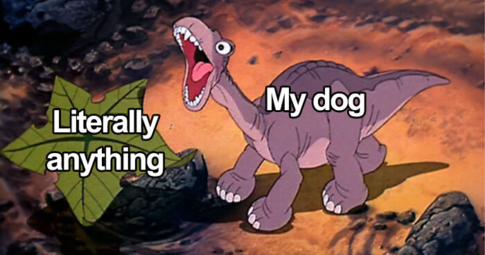 Animated dinosaur labeled My dog excitedly reacting to a leaf labeled Literally anything, funny meme relatable to dog owners.