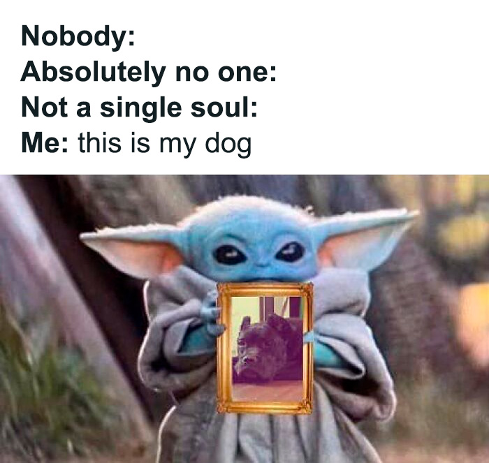 Baby Yoda holding a framed photo of a dog, humorous meme relatable to dog owners and dog lovers online.
