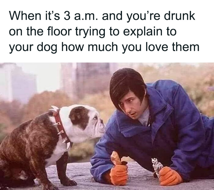 Man in blue jacket talking to bulldog on the ground at night, funny and relatable dog owner meme.