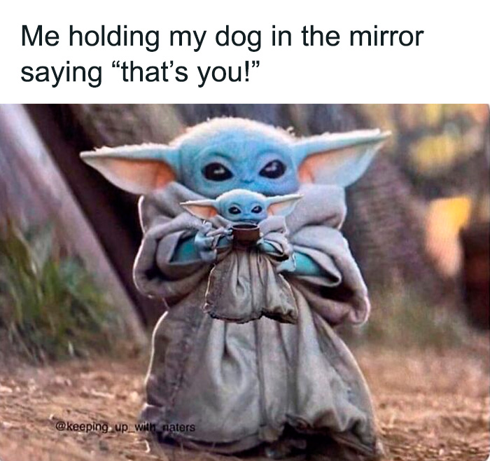 Cute meme showing Baby Yoda holding a smaller Baby Yoda, relatable to dog owners with funny adorable memes.