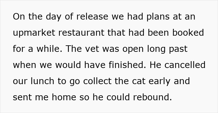 Person gently stroking a calm cat during intimacy, creating a soothing and affectionate moment together. Person gently stroking a calm cat during intimacy, creating a soothing and affectionate moment together.
