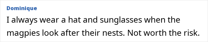 Comment from Dominique explaining wearing hat and sunglasses to avoid risks from magpies protecting their nests. Comment from Dominique explaining wearing hat and sunglasses to avoid risks from magpies protecting their nests.