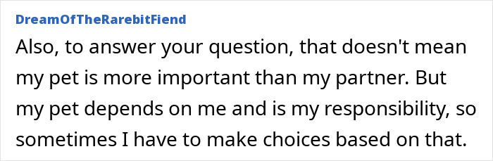 Text excerpt from a discussion about prioritizing a pet when stroking a cat during intimacy and making responsible choices. Text excerpt from a discussion about prioritizing a pet when stroking a cat during intimacy and making responsible choices.