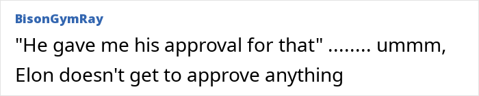 Text comment from BisonGymRay discussing Elon Musk’s influence on a German activist known as Anti-Greta seeking asylum in the US.
