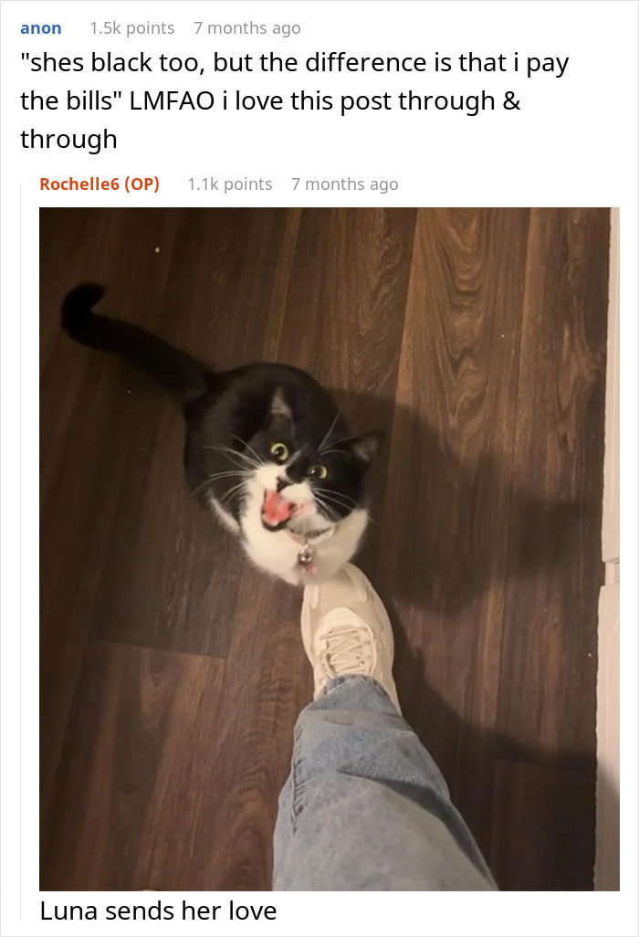 Black and white cat looking up next to a person's foot on a wooden floor, related to woman refusing to share chicken sandwich with cat. Black and white cat looking up next to a person's foot on a wooden floor, related to woman refusing to share chicken sandwich with cat.