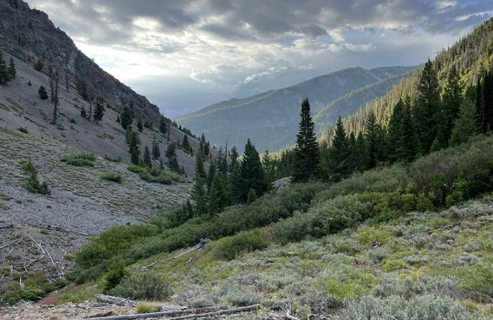 People Suspicious After Missing Hiker Was Found Roaming The Wilderness In Her Underwear People Suspicious After Missing Hiker Was Found Roaming The Wilderness In Her Underwear