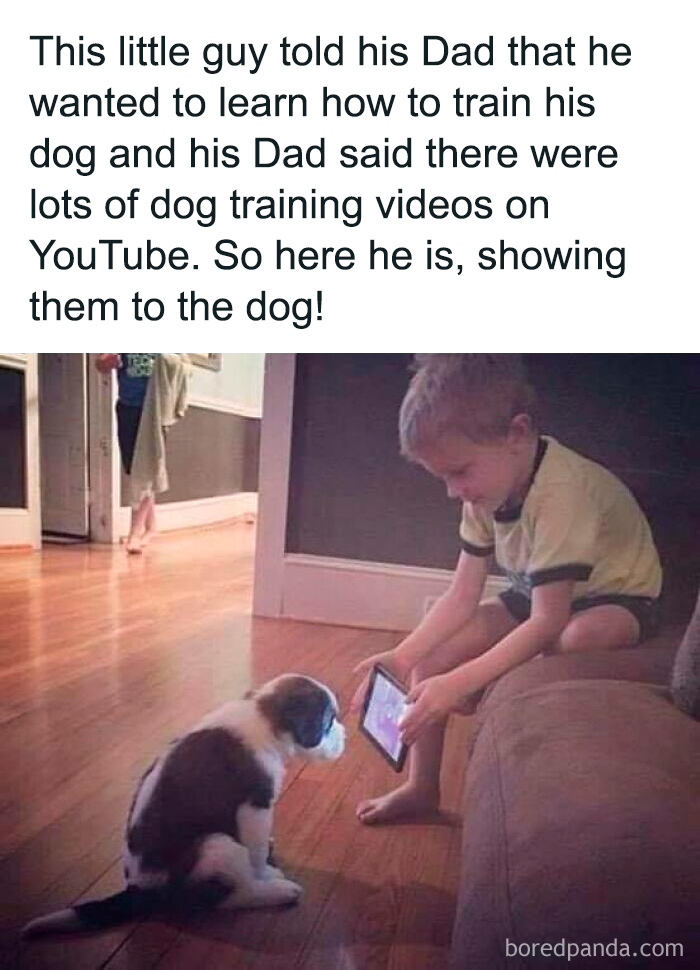 Boy showing dog training videos on a tablet to a puppy, a funny and relatable dog owner moment.