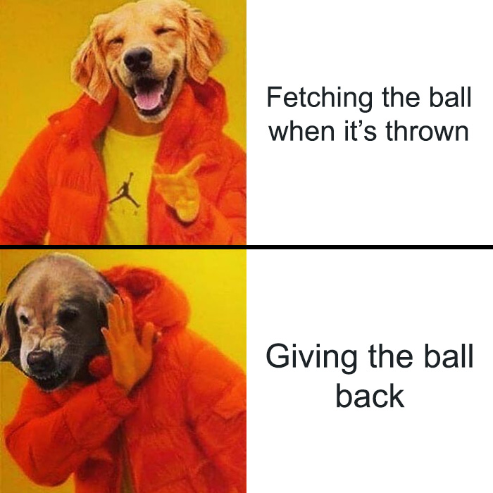 Funny and relatable dog owner meme showing a dog happily fetching the ball but refusing to give it back.