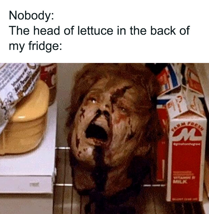Hilarious horror movie meme showing a decayed zombie head inside a fridge next to milk and condiments.