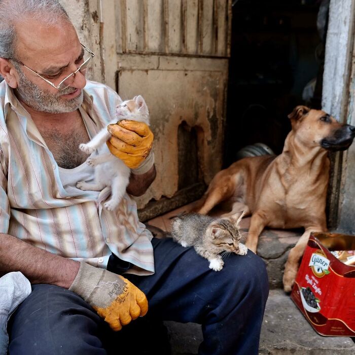 Man holding a cat with another cat lounging nearby, capturing life on Istanbul’s streets with plenty of cats.