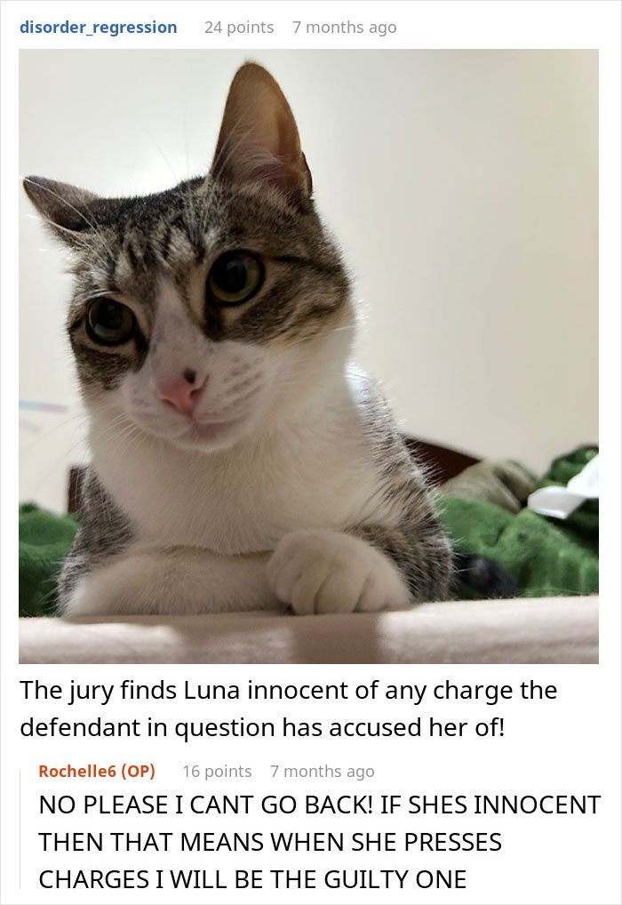 Tabby cat lying down with a curious expression, illustrating a woman refusing to share her chicken sandwich with her cat. Tabby cat lying down with a curious expression, illustrating a woman refusing to share her chicken sandwich with her cat.