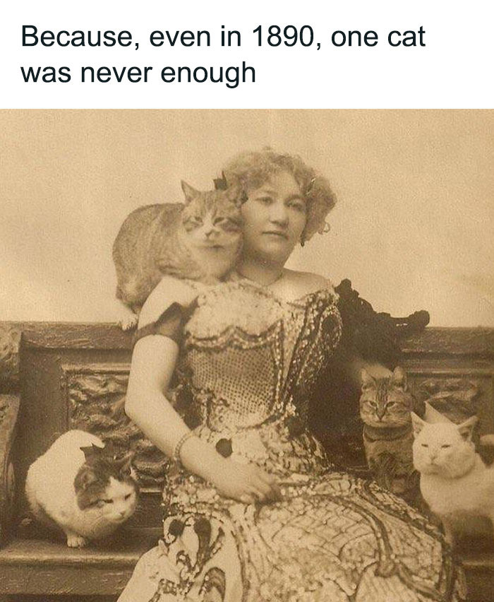 Vintage photo of a woman surrounded by multiple cats, highlighting the love for cats in historical times with cat memes.
