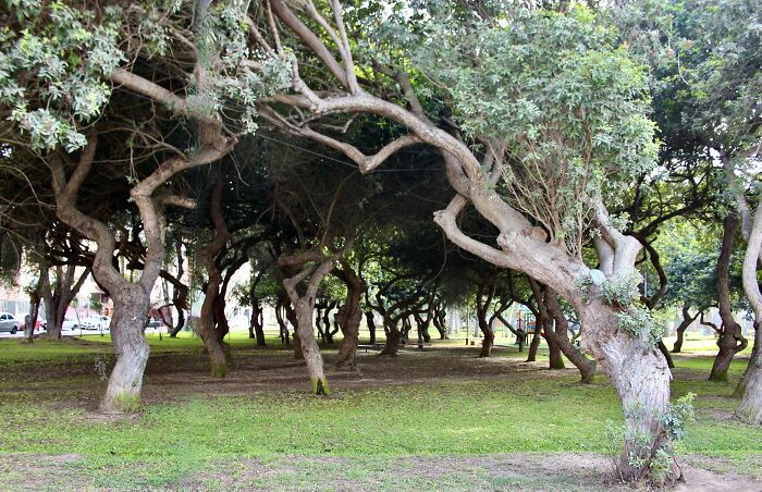 I Visited San Borja Sur Park In Lima, Peru With My Sisters, And Here Are The Highlights From Our Trip