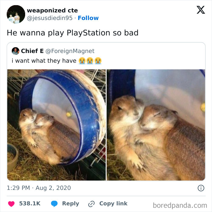 Two prairie dogs cuddling inside a wheel, illustrating hilarious and relatable relationship memes about affection and desire.