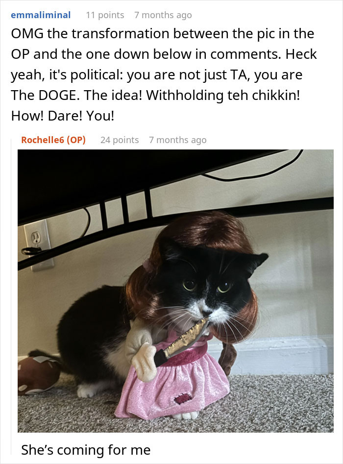 Black and white cat dressed with a wig and pink outfit, holding a chicken sandwich in its mouth, political humor. Black and white cat dressed with a wig and pink outfit, holding a chicken sandwich in its mouth, political humor.
