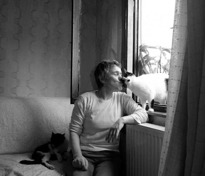 Woman sharing a tender moment with a cat on a windowsill, capturing life on Istanbul’s streets with cats stealing the show.