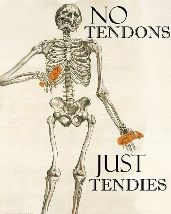 Skeleton holding chicken tenders with text no tendons just tendies in a humorous confusing image.