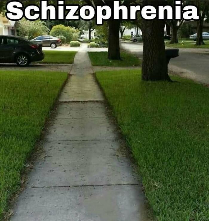 Sidewalk splitting into two separate paths in a confusing image illustrating things only get weirder the longer you look.