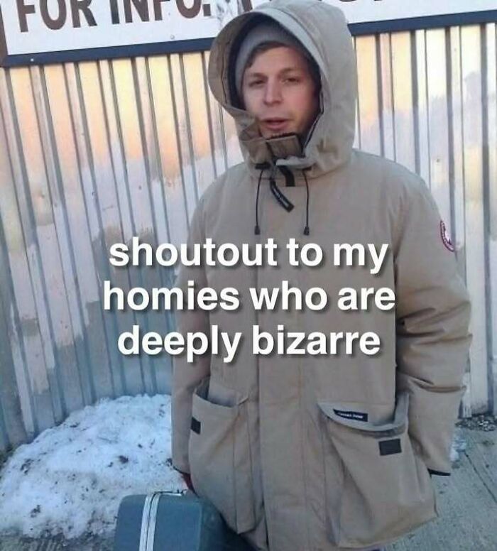 Person in a tan hooded jacket standing outside near snow with text referencing confusing images getting weirder the longer you look.