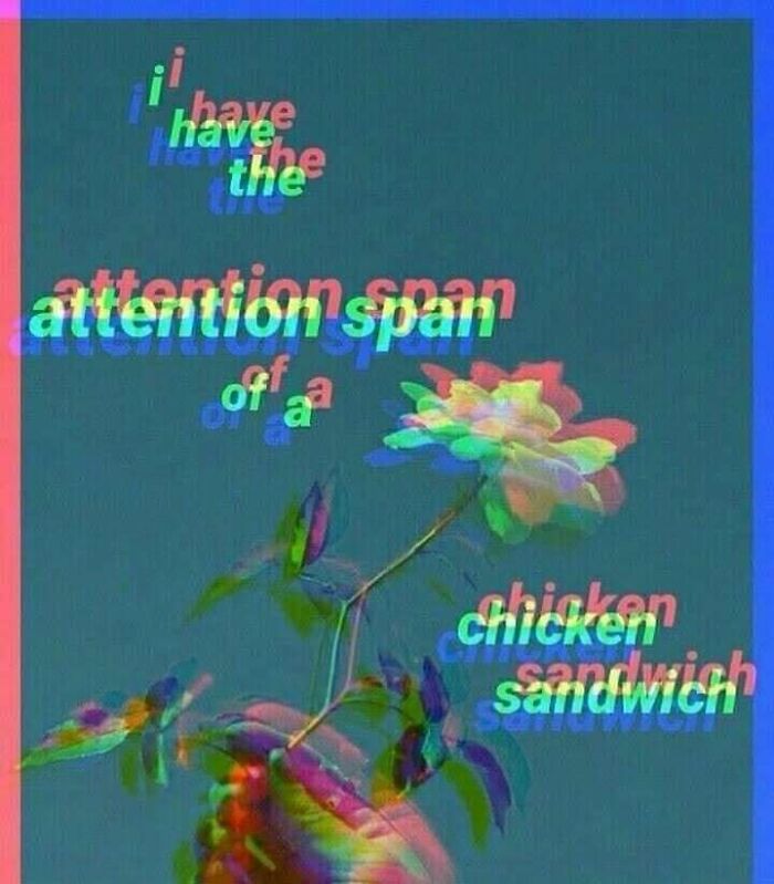 Confusing image with glitch effect showing a flower and overlapping text about attention span and chicken sandwich.
