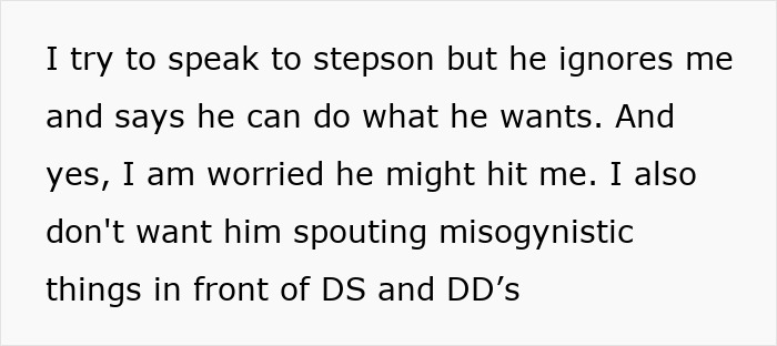 Text describing concerns about stepson&rsquo;s behavior affecting Annexe-Son-House family relationship and household dynamics.
