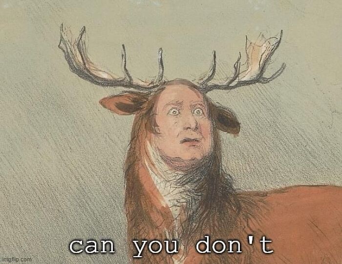 A confusing image of a deer with a human face, illustrating bizarre and weird visual effects that get stranger the longer you look.