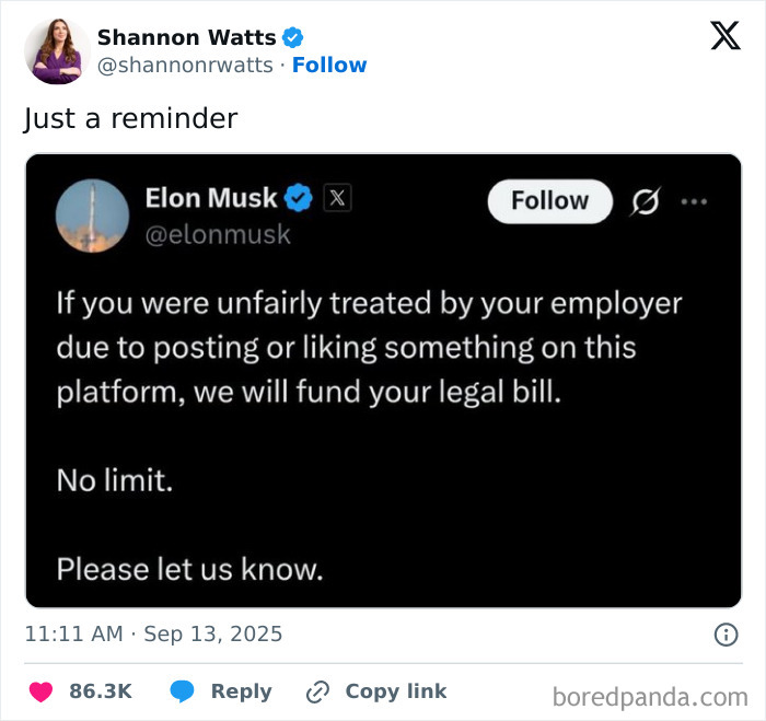 Elon Musk offers to fund legal bills for those unfairly treated by employers for posts, showing chaotic good support online.