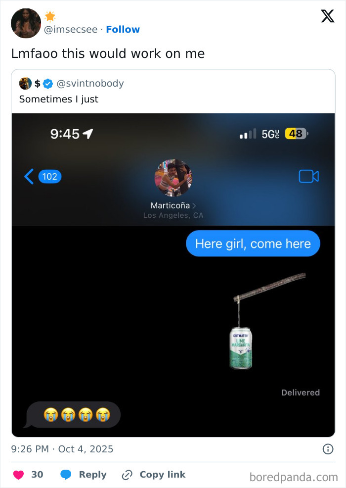 Screenshot of a humorous tweet conversation featuring a clever text message and emojis for Netflix gotta add a comment section.