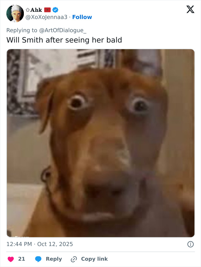 Fans Heartbroken After Will Smith Reveals Why Willow Shaved Her Head Mid-Tour Fans Heartbroken After Will Smith Reveals Why Willow Shaved Her Head Mid-Tour