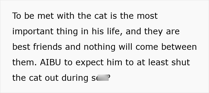 Text excerpt about stroking cat during intimacy, highlighting the bond and expectation around the cat's presence. Text excerpt about stroking cat during intimacy, highlighting the bond and expectation around the cat's presence.
