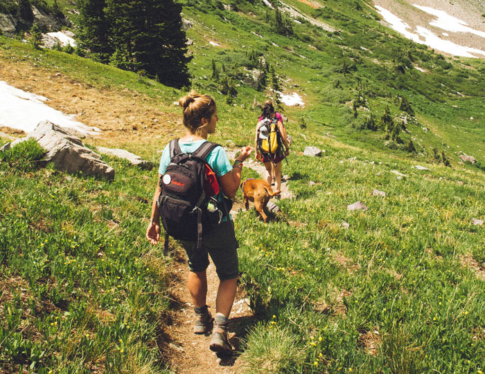 Two hikers with backpacks walking a dog on a mountain trail, illustrating a man gets majorly hurt by wife canceling anniversary trip. Two hikers with backpacks walking a dog on a mountain trail, illustrating a man gets majorly hurt by wife canceling anniversary trip.