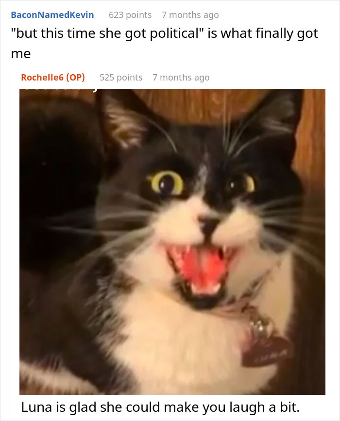 Black and white cat with wide eyes and open mouth reacting to woman refusing to share chicken sandwich. Black and white cat with wide eyes and open mouth reacting to woman refusing to share chicken sandwich.