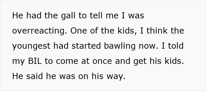 Sister Demands Child-Free Sibling Take In Her 3 Kids In An Emergency, Surprised It Doesn't Go Well