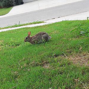 gregorygarcia avatar