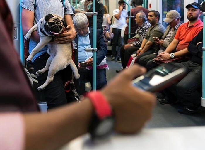 Passengers on Istanbul’s busy streetcar with a man holding a pug dog, capturing life on Istanbul’s streets.