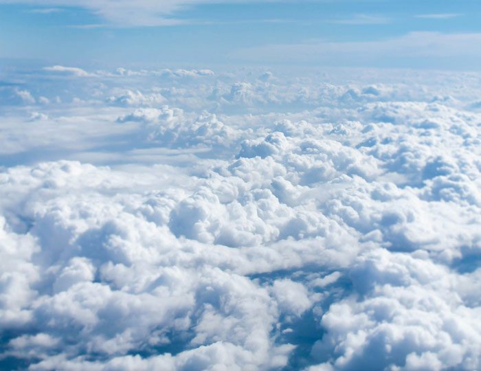 40 Hilarious Instances Of People Being Shockingly Unaware Of Common Knowledge