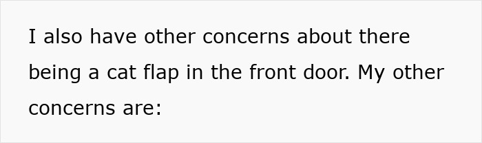 Text on screen discussing concerns about installing a cat flap in the front door, related to pet fox suspicion.