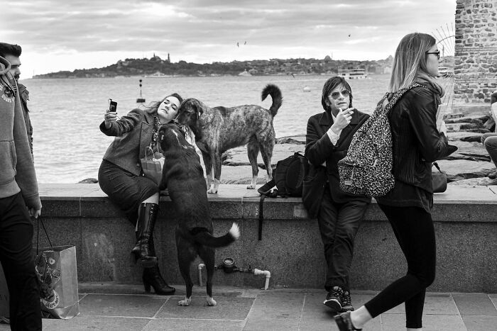People interacting with dogs on Istanbul’s streets near the waterfront, capturing candid moments of life and animals outdoors.