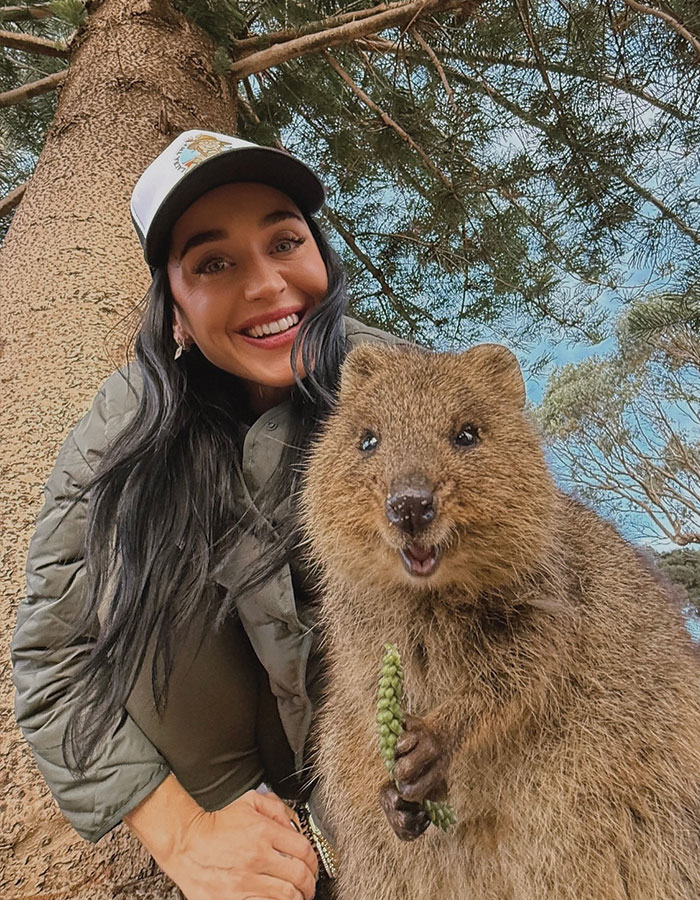 Smiling woman outdoors with a quokka, capturing a cozy moment unrelated to Katy Perry and shirtless Justin Trudeau on yacht. Smiling woman outdoors with a quokka, capturing a cozy moment unrelated to Katy Perry and shirtless Justin Trudeau on yacht.