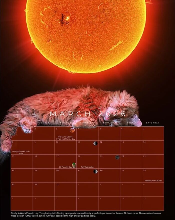 Calendar page for March 2026 featuring a rescue cat as a cosmic superstar by an astrophotographer with a sun image above.