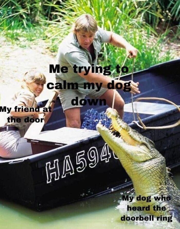 Two people in a boat struggling with a crocodile, representing dog owners trying to calm their excited dogs.