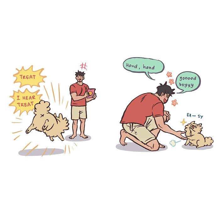 Illustration by Malaysian artist showing a fluffy dog sleeping and then alert with crinkle sounds, relatable life moments.