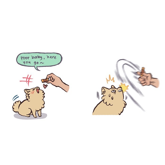 Illustration by Malaysian artist showing a fluffy dog sleeping and then alert with crinkle sounds, relatable life moments.