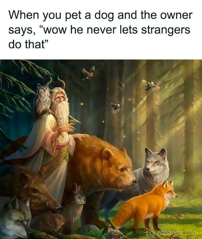 Old painting of a forest scene with animals and a bearded man, humorously captioned with modern text for comedy gold.