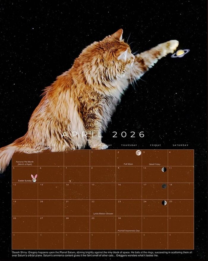 Orange rescue cat reaching toward planet Saturn in a cosmic scene from the 2026 feline space calendar.