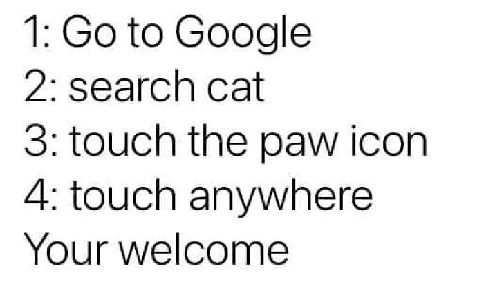 Instructions for a cat meme therapy experience, listing steps to engage with cat content on Google for fun.