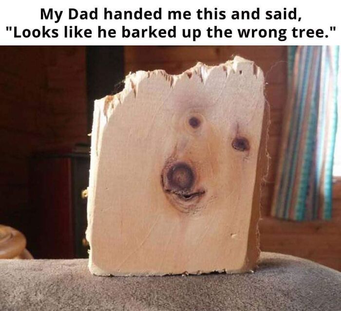 Wooden block with natural knots resembling a dog's face, creating a funny and relatable dog owner meme.